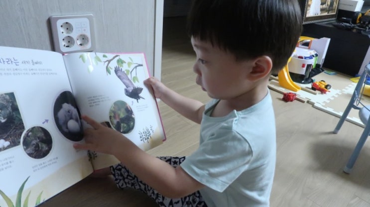  유아 자연관찰책 아람 올빼미는 좋겠다 함께 읽기