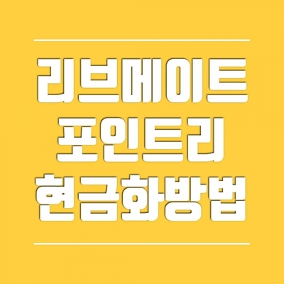  리브메이트 포인트리 5가지 사용법 핵심정리현금화 출금KB국민카드 이용자 주목해주쒜요오늘의 퀴즈