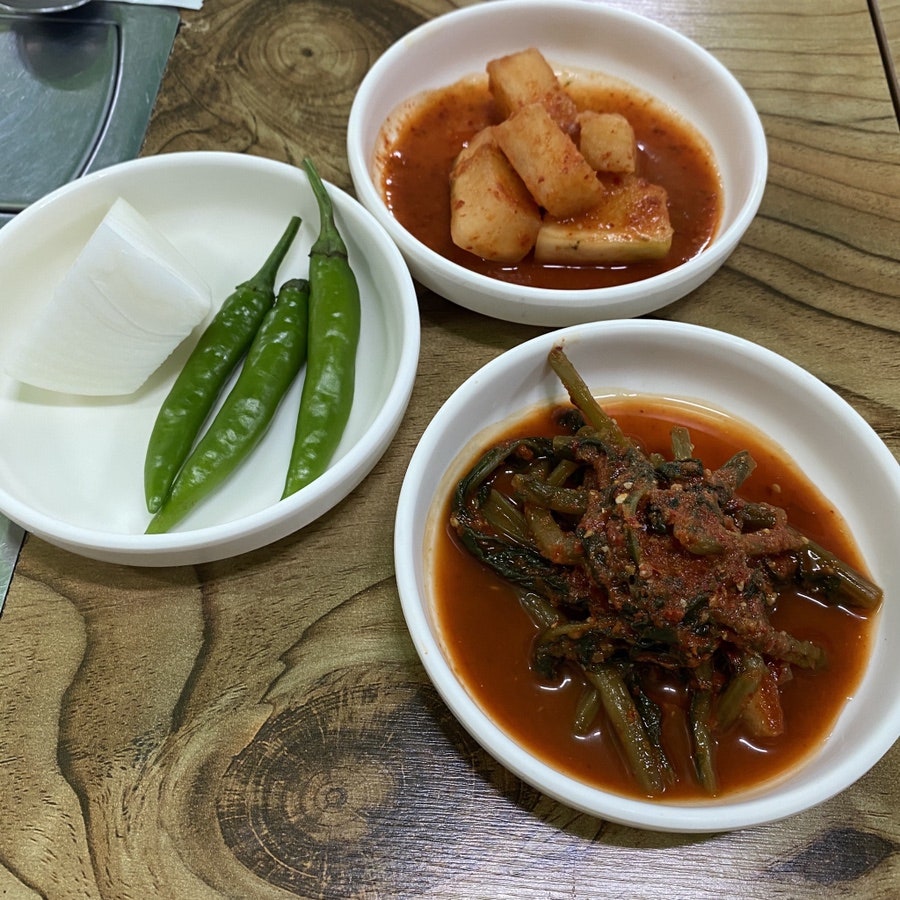 비엔날레포도원 사진 6