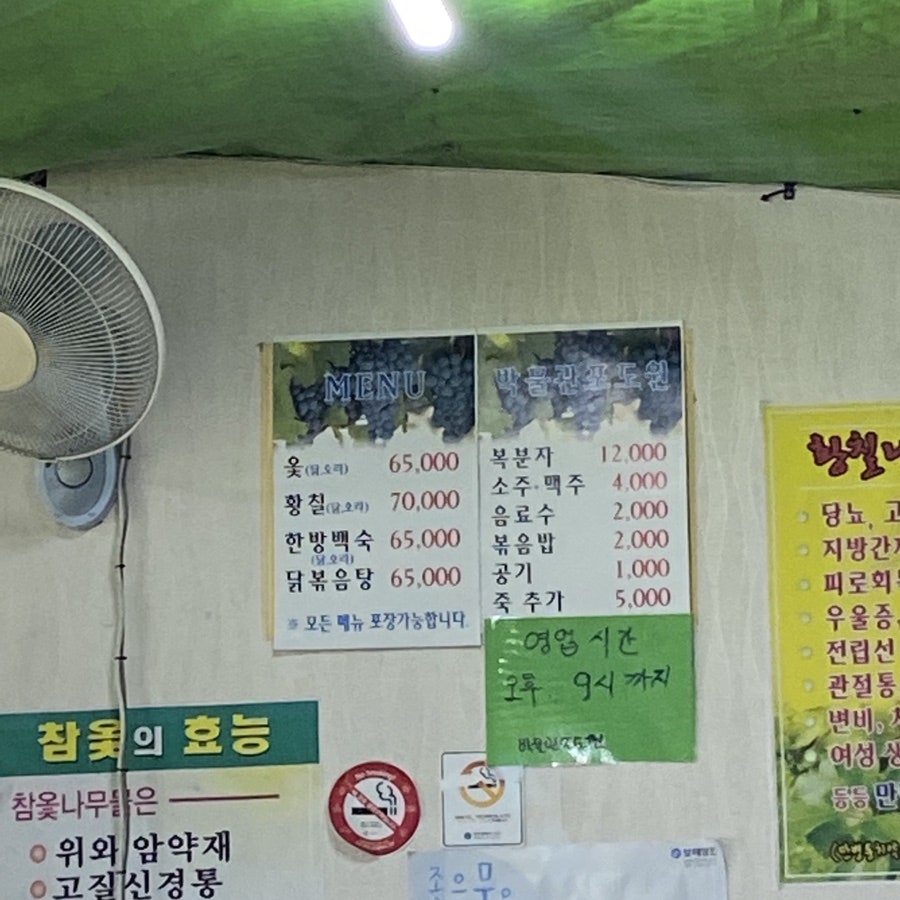 비엔날레포도원 사진 5