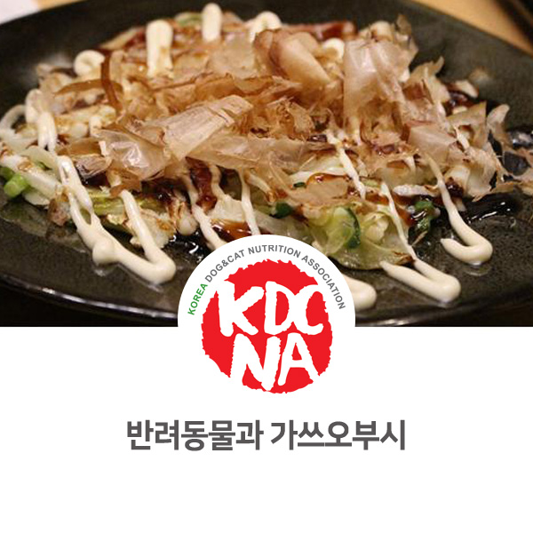  [강아지 고양이 식재료 정보] 반려동물 가쓰오부시 먹어도 되나요?_548
