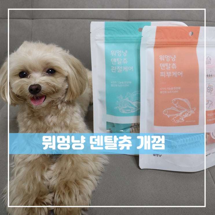  뭐멍냥 덴탈츄 강아지개껌 으로 치석관리시작해보자