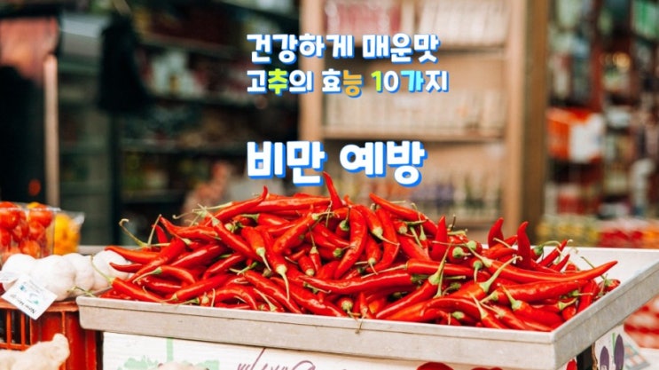 건강하게 매운맛 고추의 효능 10가지