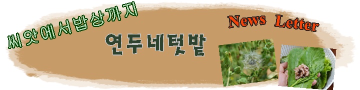  영양군농업기술센터에서 뉴스레터만들기 교육 받고 있어요