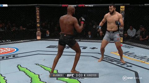 UFC 247: 존 존스 vs 도미닉 레예스 움짤 UFC 247: 존 존스 vs 도미닉 레예스 움짤