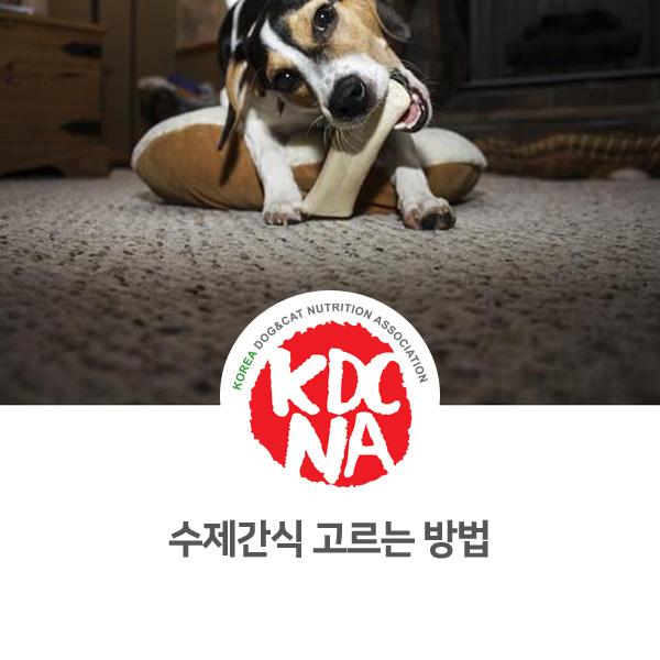  [반려인이 알아야할 필수 정보] 강아지 고양이 수제간식 고르는 방법_554