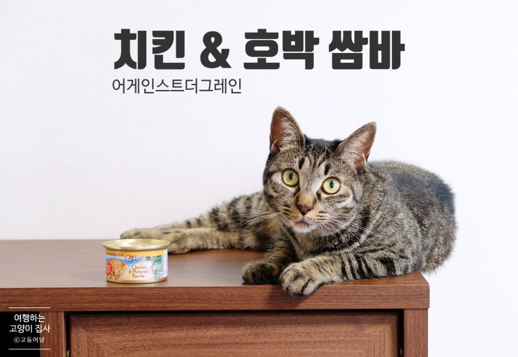  고양이 보양식으로 더위나기: ATG 치킨호박쌈바