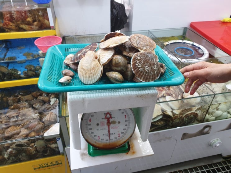 대부도 어시장 바다수산 / 오션시티종합어시장 (솔직후기) 대부도 어시장 바다수산 / 오션시티종합어시장 (솔직후기)