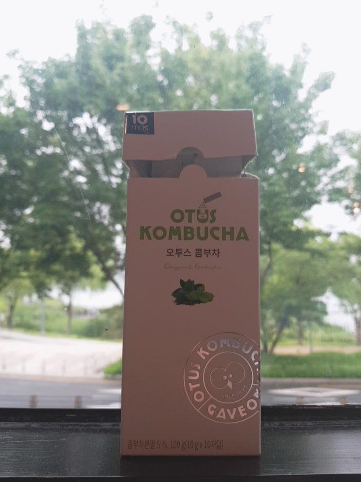 오투스 콤부차 10T 오리지널 KOMBUCHA