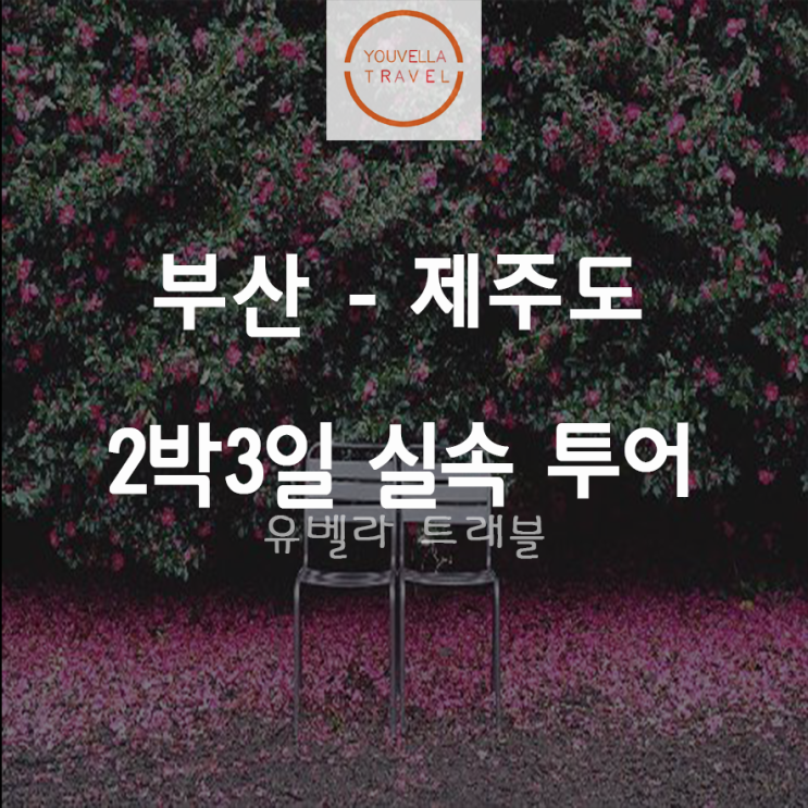  [부산출발] 제주 2박3일 실속 패키지 여행 8월21일 까지 에어부산