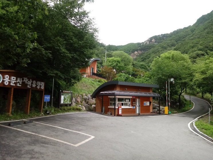  용문산자연휴양림 야영장 데크 둘러보기