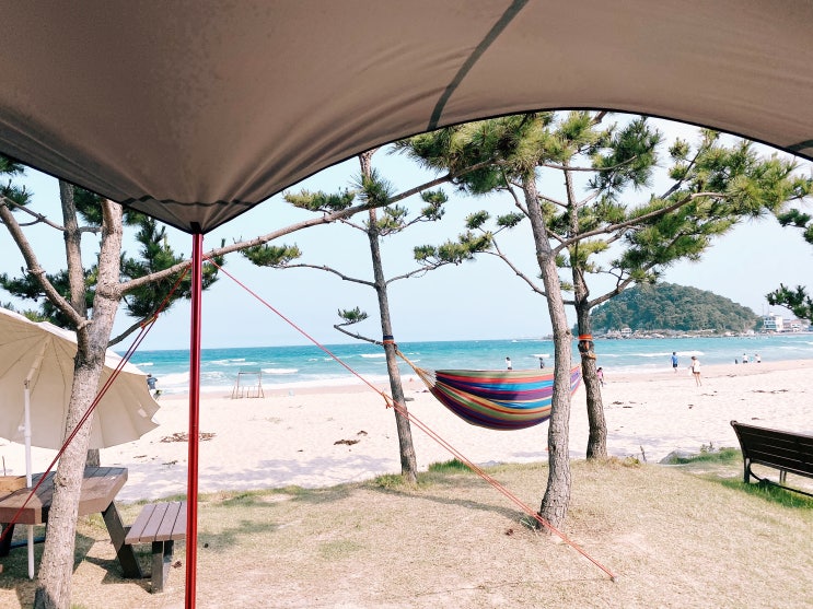 양양여행 - 죽도해변 근처 동산포해수욕장에서 캠핑, 서핑 후기