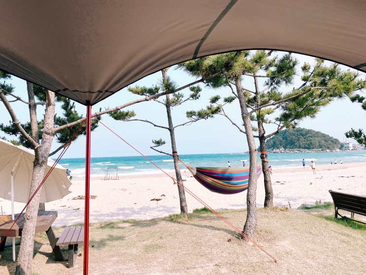  양양여행 - 죽도해변 근처 동산포해수욕장에서 캠핑, 서핑 후기