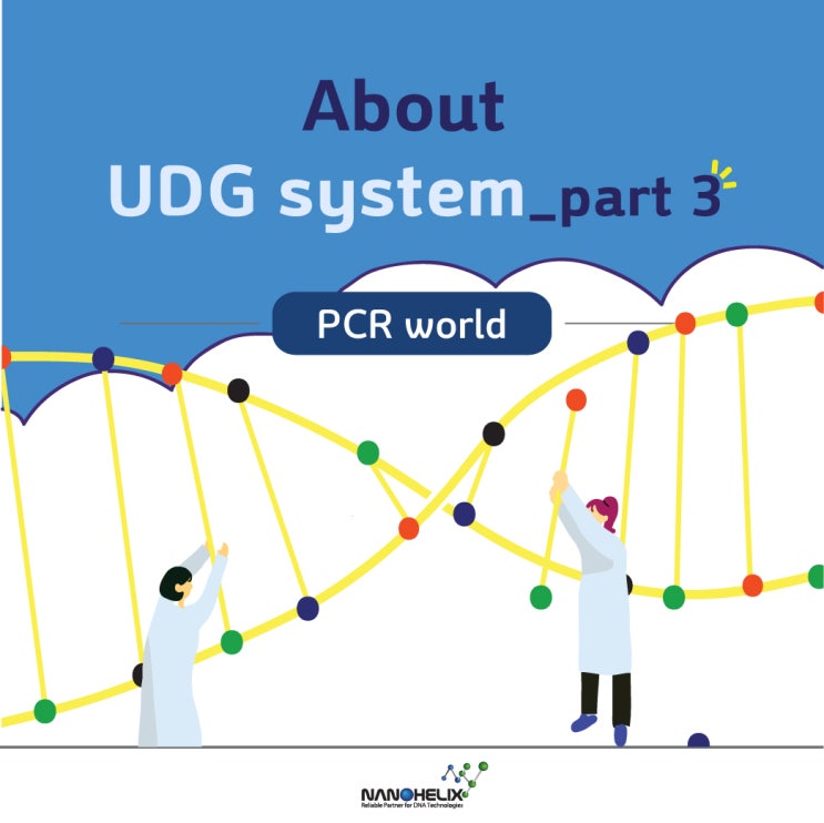  About UDG(Uracil DNA Glycosylase) system _ part 3