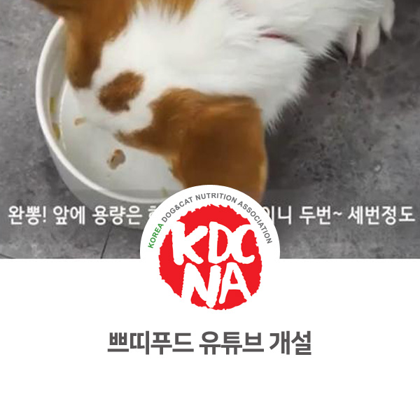  [반려동물 영양 전문가 양성 교육] 한국반려동물영양협회 경기지회 쁘띠푸드 유튜브 개설_550