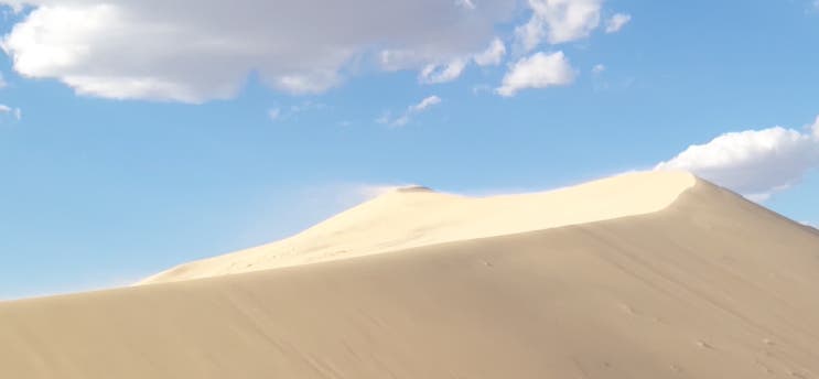  Mojave National Preserve | 모하비사막 하루여행2