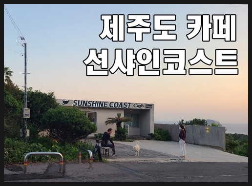  제주도 카페 선샤인 코스트 제 최애카페입니다.