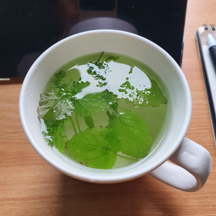  비가오니 아침갬성 포스팅