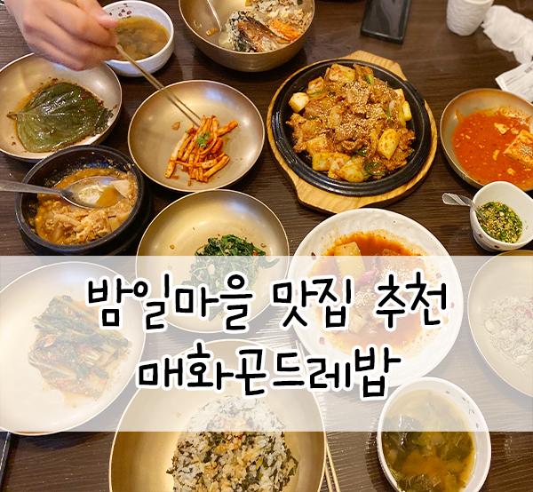광명맛집::매화곤드레밥 밤일마을 진짜 맛집 인정(제육ㄹㅇ추천)