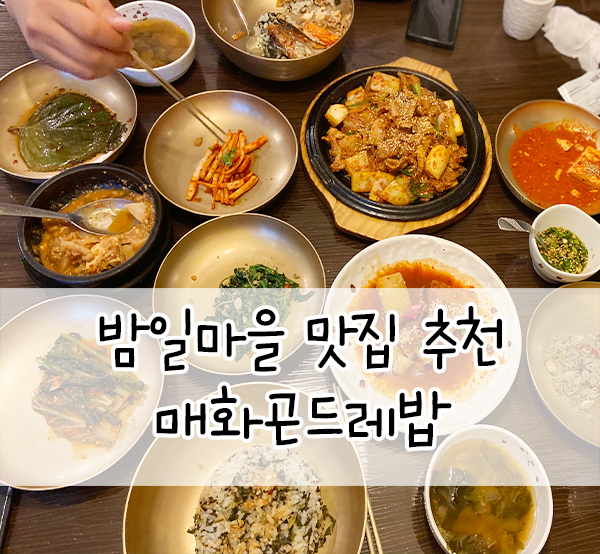  광명맛집::매화곤드레밥 밤일마을 진짜 맛집 인정(제육ㄹㅇ추천)