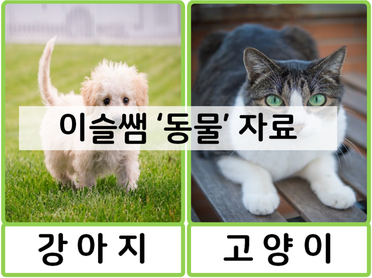  [영유아수업자료]동물-영역별 활동자료(언어, 탐색)
