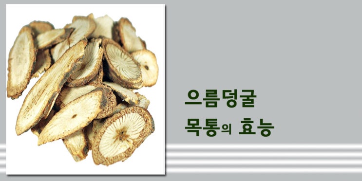  으름덩굴. 목통의 효능