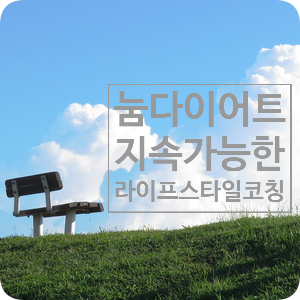  눔다이어트 라이프스타일 코칭 프로그램 경험해 보니 지속 가능한 다이어트 코칭으론 찐이다^^
