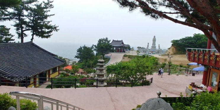  강원도 양양 휴휴암 사찰의 물고기떼가 장관입니다. 강추!