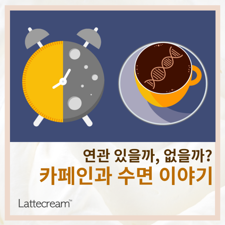  커피 마셔도 잘 자는 사람이 있다? [카페인 잠 상관관계]