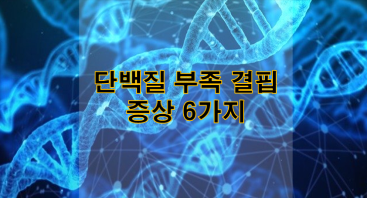  단백질영양소 부족 결핍으로 발생하는 증상 6가지!!
