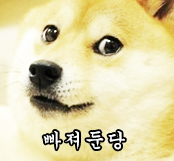  시바짤 직접만들어 봤습니다 - made by 호키