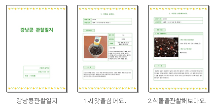  강낭콩 봉선화 식물 관찰일지 양식
