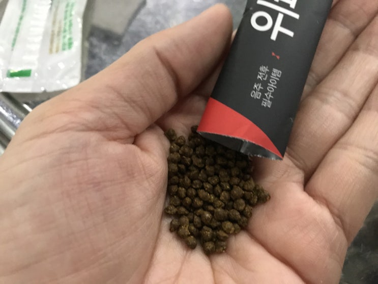  숙취해소제 위파티환 간편하게
