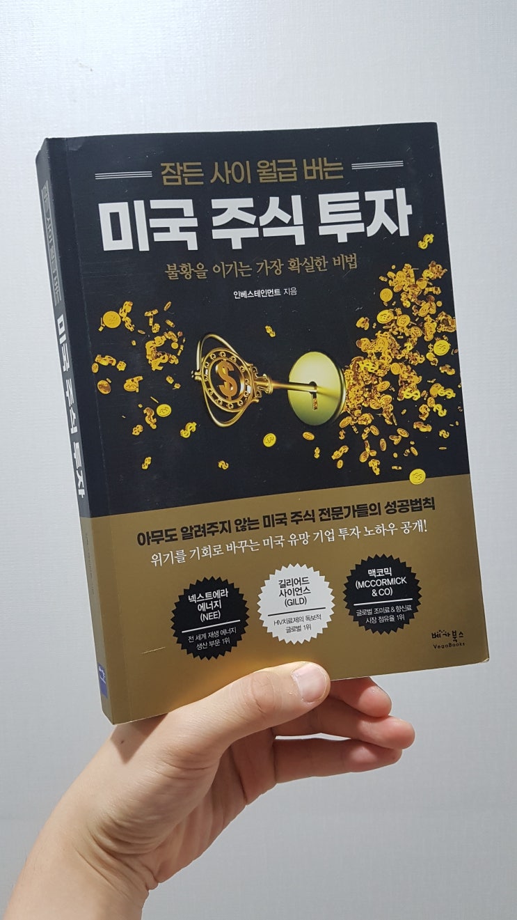  잠든 사이 월급 버는 미국 주식 투자