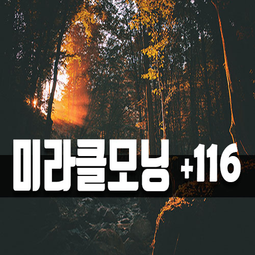  가슴 설레는 '긍정확언' 116일차!
