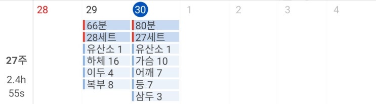  [헬스 15일차] 화요일 가슴, 등, 삼두 근데 삼두 조진듯