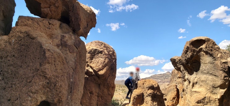  Mojave National Preserve | 모하비사막 하루여행1