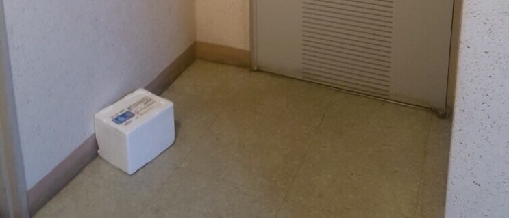  [6월말 깜짝!번개!이벤트]악! 기대되요