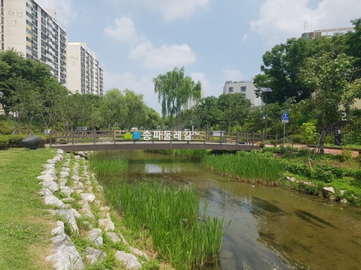  송파구 산책: 성내천(성내6교)
