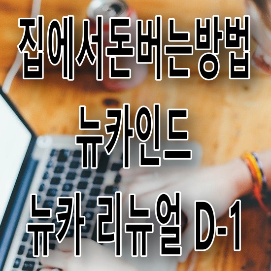 집에서돈버는방법 뉴카인드 뉴카 리뉴얼 D-1 집에서돈버는방법 뉴카인드 뉴카 리뉴얼 D-1
