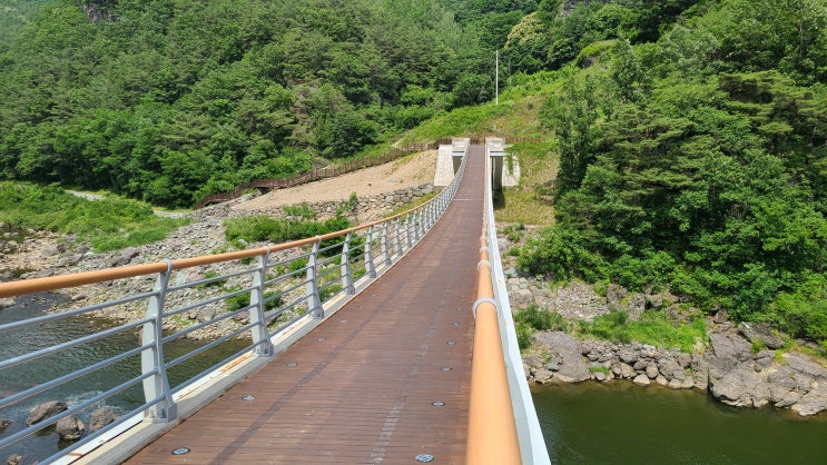  신선도 반한 봉화 백용담 선유교 출렁다리 드론 영상