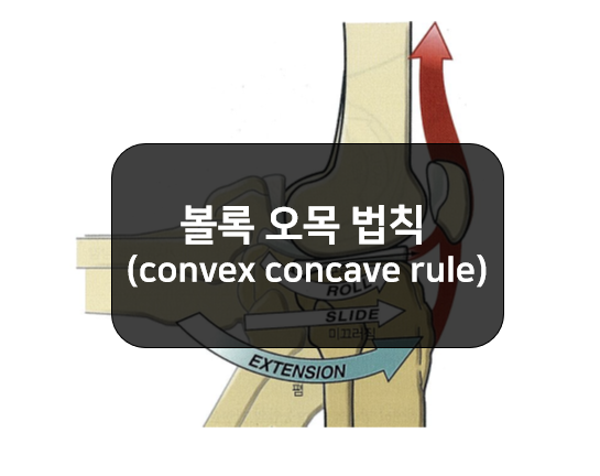 볼록 오목 법칙(convex concave rule)!!