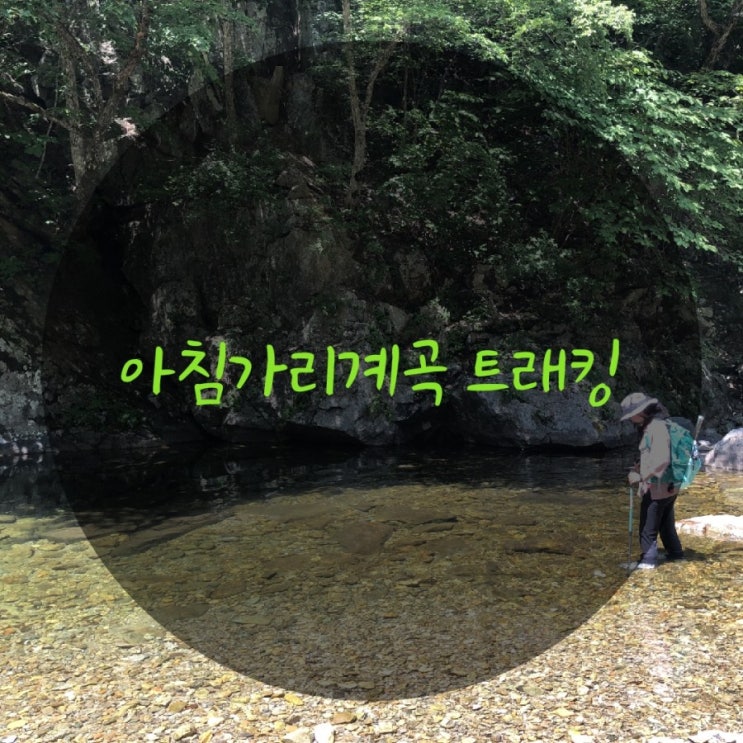  아침가리 계곡! 꼭 알아야 할 tip