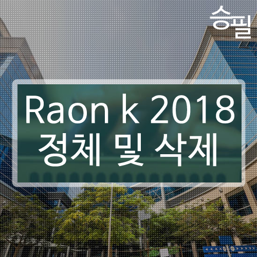 Raon k 2018 삭제 방법 및 정체 알아보자!