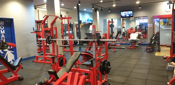 용이동헬스장 추천 평택PT 부터 줌바까지 사이다짐 용이동헬스장 추천 평택PT 부터 줌바까지 사이다짐