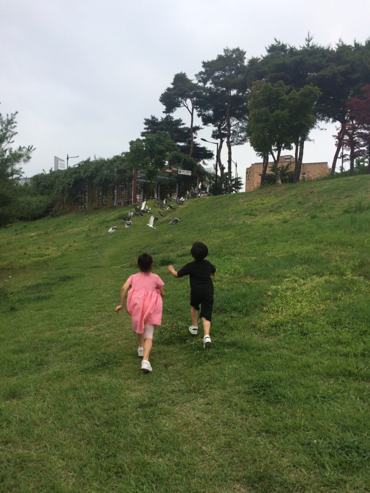 슬쌍디아빠 과거로의 산책(2010.06.30.~2019.06.30.) 육아일기 FILE 213 / 천안축구센터