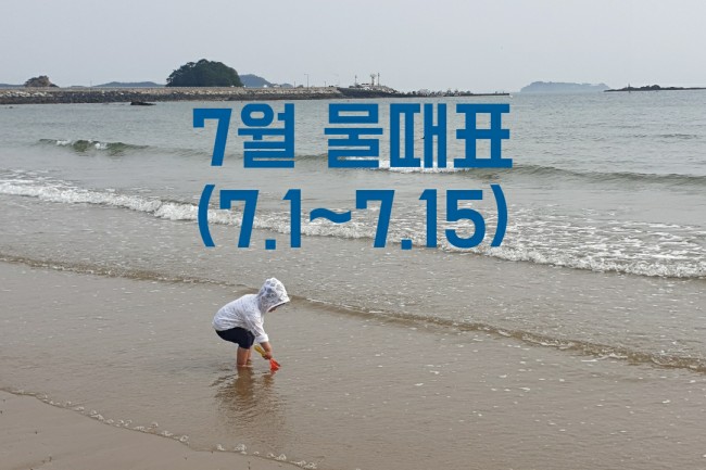  [태안]안면도 물때표 안내 (갯벌 체험시간)-7.1~7.15