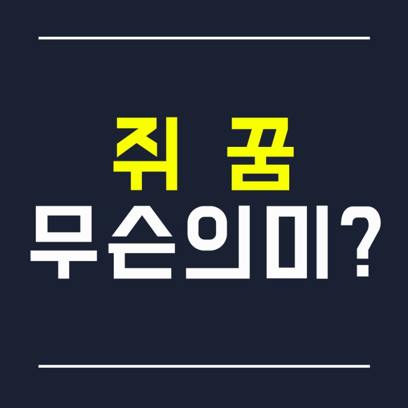 [꿈해몽] 쥐꿈 쥐가나오는꿈 생쥐꿈 꿈에서 쥐보는꿈 햄스터꿈 흰쥐 죽은쥐 새끼쥐꿈 태몽 ....