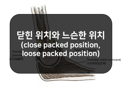 관절의 닫힌위치(close packed position)와 느슨한위치(loose packed position)