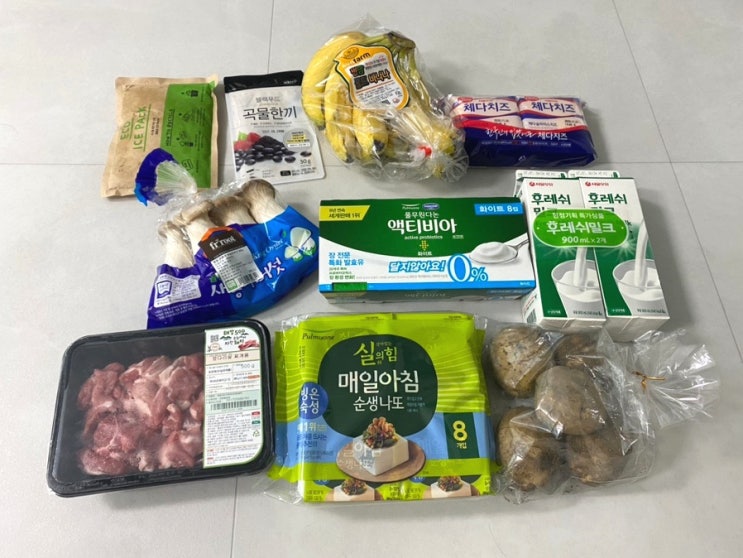  쓱 이마트 새벽배송 가방 알비백과 친환경 아이스팩 활용법